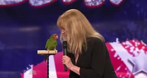 America's Got Talent: Vegas Birds - Talking Parrot