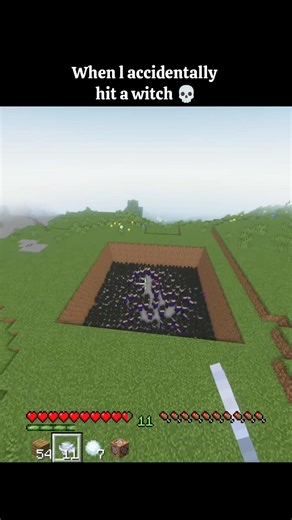 when l accidentally hit a witch 💀 #minecraft