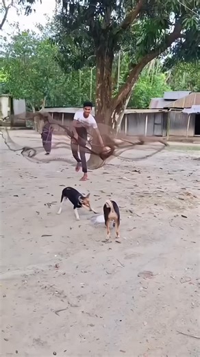 Ashok Sharma on Instagram: "Bhai ne kya kar diya bahut hi Maja a Gaya 🤣🤣🤣#Comedy #trending #वायरल #shortvideo😝🤪😆 #viral"