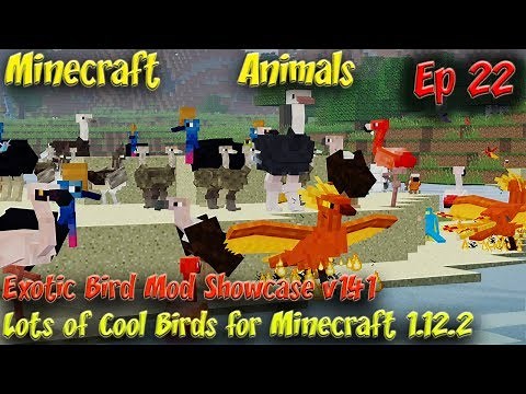 Exotic Birds Mod Animal Showcase v1.41 Minecraft Animals Ep22 Minecraft 1.12.2
