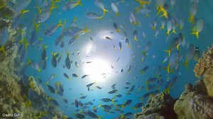 2.1K views · 70 reactions | 15 MOST BEAUTIFUL PLACES In The World | Amazing Places | Facebook