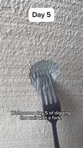 Day 5: I’m trying to dig through a wall with a fork.🧱🍴 Every new follow = ONE scratch Comment FORK if you want me to continue! … #forkvswall #forkchallenge #challenge #part5 #day5