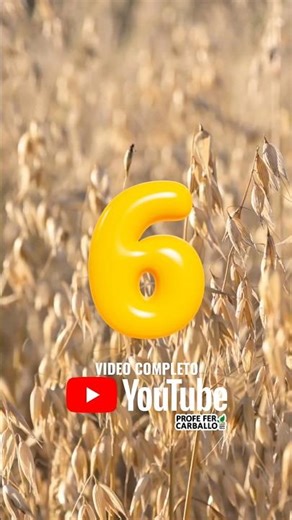 No. 6 Oats. Crops + Planted in Mexico.