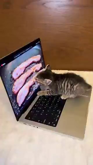 people who pay for only fans