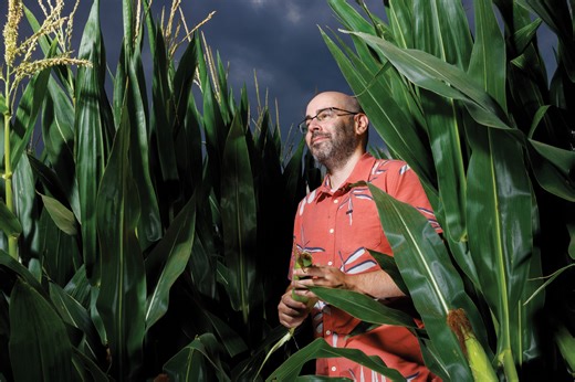 Mapping the complete corn genome – 2023-2024 Report