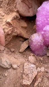 1.2M views · 10K reactions | Unearthing a Crystal Kingdom! ✨ #CrystalMining #GiantCrystal #PinkCrystal #PurpleCrystal #NatureTreasures #MineralMagic #EarthFinds | SocialSphere Central | Facebook
