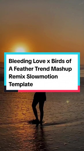 Bleeding Love x Birds of A Feather Mashup Remix Template