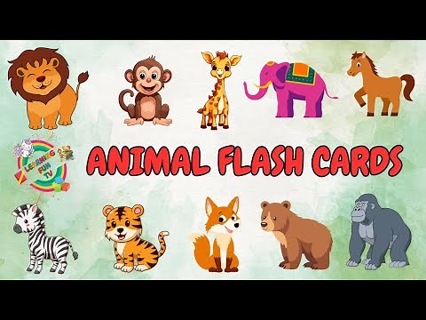 Animal Flash Cards - Jungle Animals with pictures, animal sounds and some key facts 🐾