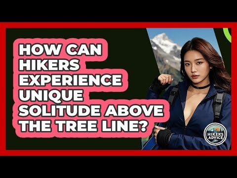 How Can Hikers Experience Unique Solitude Above The Tree Line? - The Hiker's Advice