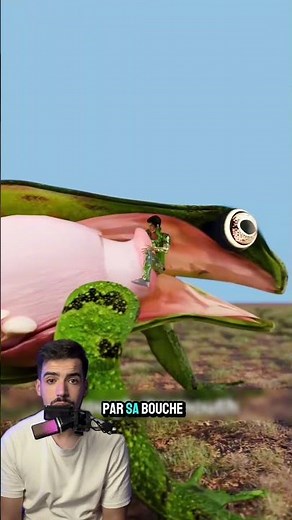Si une grenouille géante vous avale