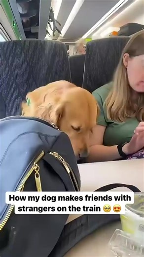 RandomThings (@randomthingshere52)’s video of the last unicorn