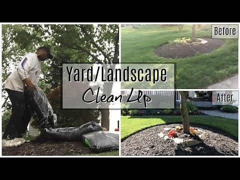 Start to Finish Front Yard/Landscape Clean Up | Time Lapse Before & After