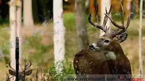 264K views · 2.4K reactions | Meet Wyndscent, the first ever hunting scent dispersal system that utilizes vapor, meaning your scent will last longer and travel further. You're going to want to check this out! goo.gl/6SLrNF | WYNDSCENT | Facebook