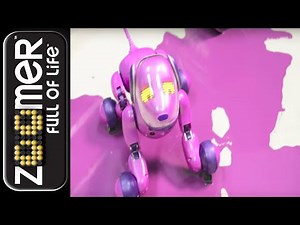 Zoomer | Zoomer Turns Purple