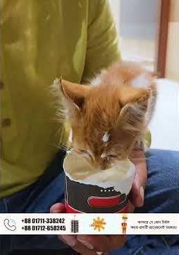 Engineer Panir Alam Heart Touching Moment