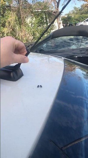 DIY: Cheap Fast Easy Antenna Replacement. 2011 Ford Focus #shorts