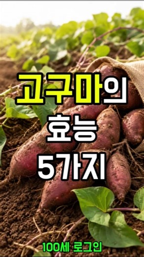 🍠 5 Benefits of Sweet Potatoes