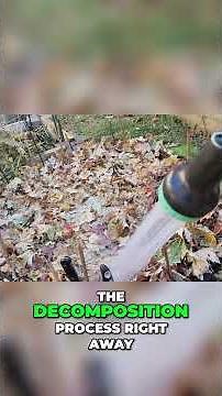 Grow FREE Garlic: The Secret Leaf Mulch Watering Trick!