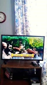 Marmaduke (2010 DVD Menu Walk Through