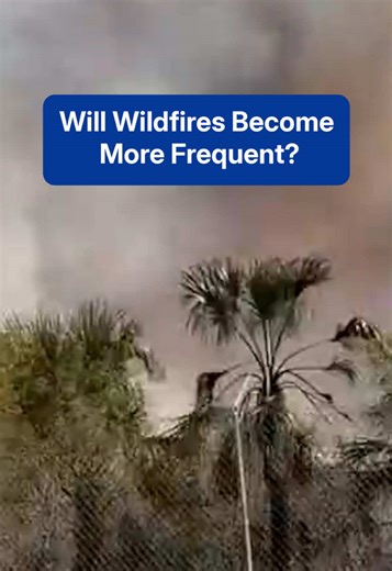 Scientists believe that climate change has led to warmer seasons and more drought, increasing our susceptibility to wildfires. Will this continue to be a trend for the Eastern United States?