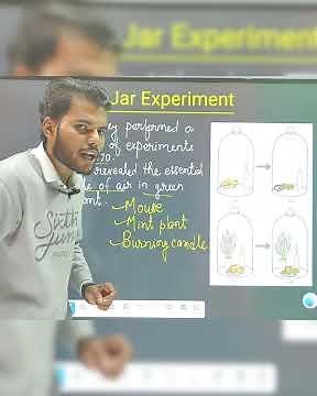 Bell Jar Experiment #biology #education #educationalvideo