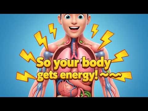 How lunges work| Explained in fun way for kids |