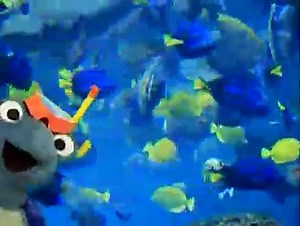 Baby Einstein 02BE BABY NEPTUNE