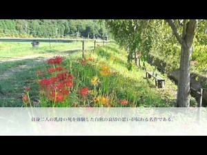須賀田礒太郎 / 曼珠沙華