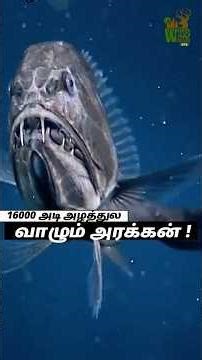 Fangtooth Fish and Goblin Sharks Are Terrifying #ocean #scary