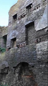 4.5K views · 113 reactions | Oíche Shamhna Shona Daoibh!  Happy...