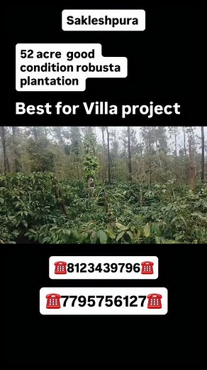 2.4K views · 204 reactions | Manglore  Property ID 230 kms from Sakleshpura Price :40 laksh per acre Cal /wtspp 8123439796 #sakleshpur #chikkamagaluru #river #stream #water #banglore #mysore #bengaluru #sales #sale #buy #buyer #home #agriculture #land #lease #sold#exchange #sakleshpura #realtor #realestatesales #coffee #landscape #land | Namma Sakleshpura Real Estate | Facebook