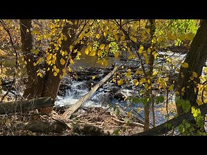 Exploring New York LIVE : Mount Beacon Fire Tower to Town of Beacon in the Hudson Valley
