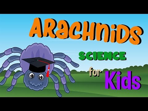 Arachnids | Science for Kids