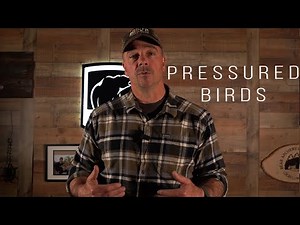 Hunting Pressured Turkeys | Late Season Turkey Hunting Tips | How to Hunt Pressured Turkeys