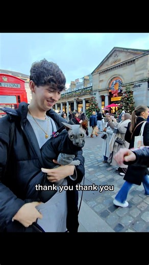 Petting humans prank🤣#prank