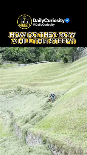 How Do Farmers Mow a Hill This Steep?! #didyouknow #youtubeshorts #facts #dailycuriosity #satisfying