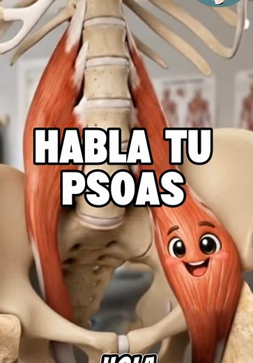 Descubre el Psoas-Ilíaco: El músculo que necesitas conocer