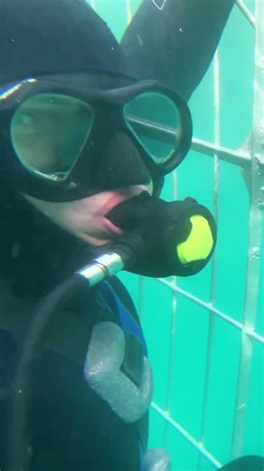 Breathe Underwater with Sharks Hookah Shark Cage Diving Gansbaai. White Shark Diving Company #sharks