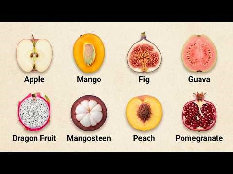 Every Type of Fruits Explained