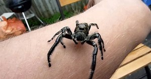 A New Way To Get Over Your Phobia