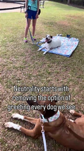 Dog Neutrality-read the description for more information
