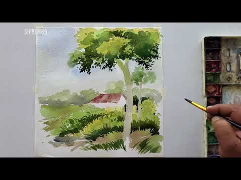A Beginner's Guide to Land Scape Paintings