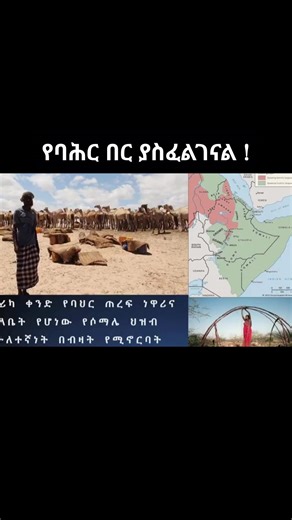 Solomon Gadissa on Reels