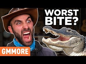 Top 5 Worst Things To Get Bitten By ft. Coyote Peterson