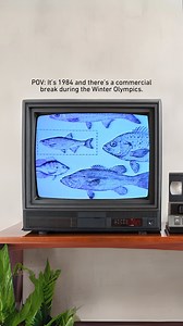 6.9K views · 293 reactions | Step back in time 40 years ago. You’re watching the Winter Olympics on TV. There’s a commercial break, and you see the Apple Macintosh for the very first time, advertised as “the computer for the rest of us.” Now relive the past 40 years of Apple’s Macintosh at our Apple Mac at 40 mini popup.  On display until Feb 25. #Apple #Macintosh #BayAreaEvents | Computer History Museum | Facebook