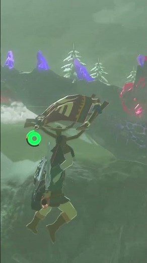 Breath of the wild noob fails with nadrya