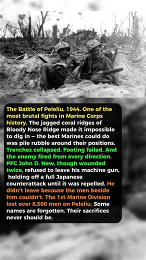 He Was Buried Alive in a Collapsed Trench — Then He Started Firing | Peleliu 1944