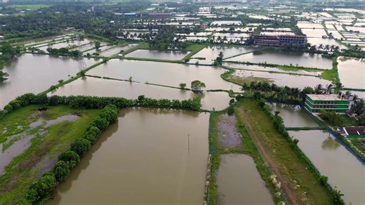 AquaSense had begun collecting water samples and drone imagery from fish farming ponds in Khulna — the heart of our nation’s “White Gold” (shrimp cultivation). This initiative aims to better understand water quality and support sustainable aquaculture practices through data-driven insights. #AquaSense #FishFarming #Khulna #WhiteGold #WaterQuality #DroneResearch | AquaSense BD