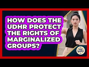 How Does The UDHR Protect The Rights Of Marginalized Groups? - Guide To Your Rights