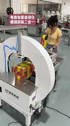 Automatic palletizer production line for factories, incredibly efficient Fully Automatic Palletizer.